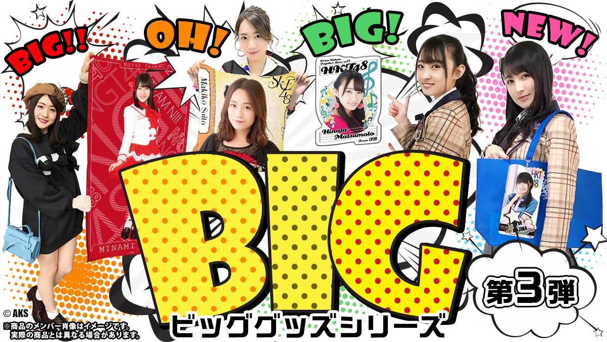 BIGグッズシリーズ