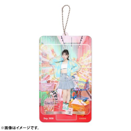 AKB48 限定ブリスターキーホルダー メンバー9