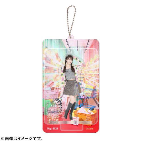 AKB48 限定ブリスターキーホルダー メンバー14