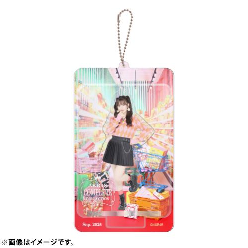 AKB48 限定ブリスターキーホルダー メンバー15