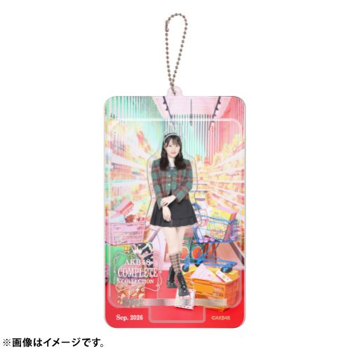 AKB48 限定ブリスターキーホルダー メンバー17