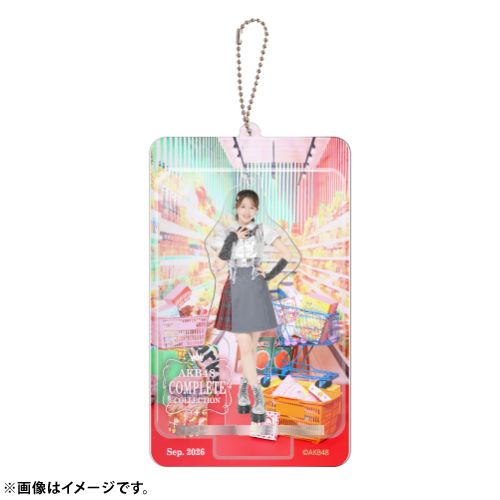 AKB48 限定ブリスターキーホルダー メンバー24