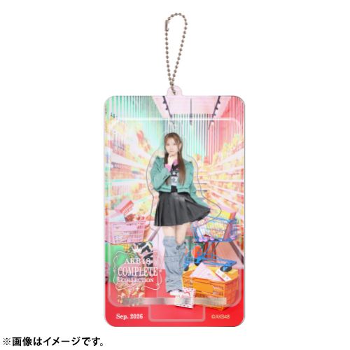 AKB48 限定ブリスターキーホルダー メンバー25