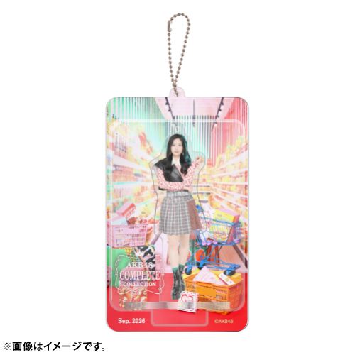 AKB48 限定ブリスターキーホルダー メンバー36