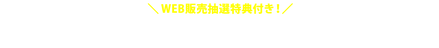 2016年 AKB48福袋 5,000円福袋