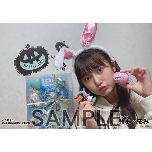 AKB48グループ グッズ 大量まとめ売り AKB48グループ感謝祭～ランクインコンサート～」グッズ・生写真