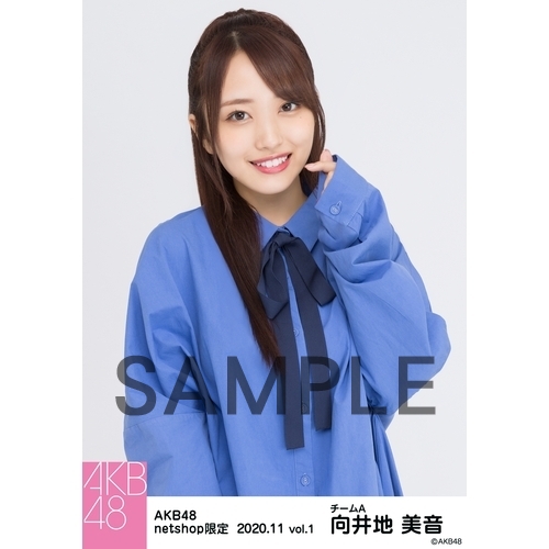 AKB48 2020年11月度 net shop限定個別生写真5枚セットvol.1 向井