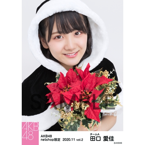 AKB48 2020年11月度 net shop限定個別生写真5枚セットvol.2 田口愛佳