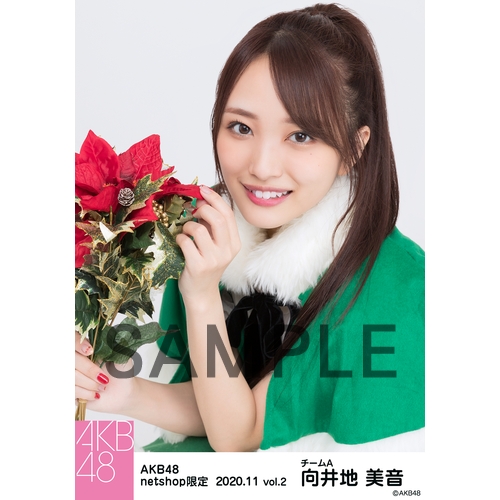 AKB48 2020年11月度 net shop限定個別生写真5枚セットvol.2 向井