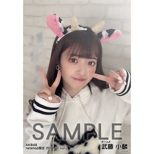 AKB48 第一党 感謝祭 2016 net shop 生写真 2種コンプ 1 画像・写真 | AKB48シングル選抜総選挙 第一党感謝祭2016～1