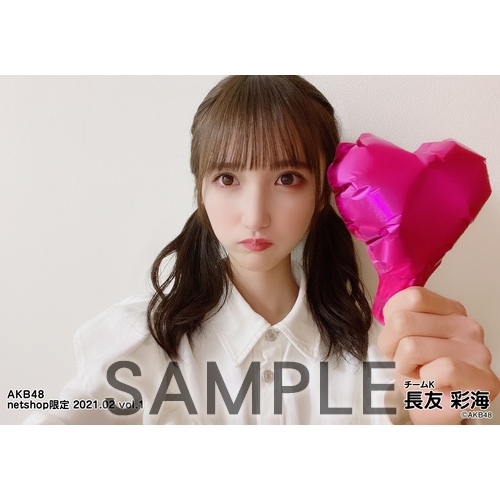 AKB48 生写真 セット 約300枚 AKB48グループ多種生写真セット AKB48 生写真 セット 約300枚 AKB48 2024年