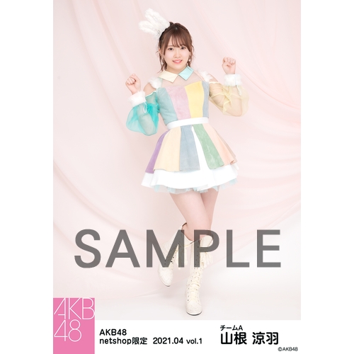 予約商品】AKB48 2021年4月度 net shop限定個別生写真5枚セットvol.1 
