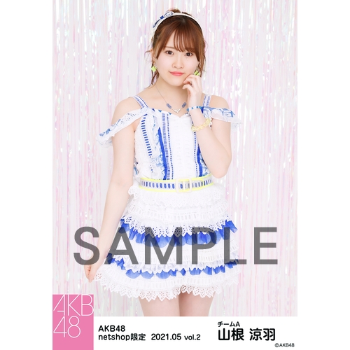 AKB48 SKE48 NMB48 雑誌 まとめ売り 21冊 AKB48 SKE48 NMB48 雑誌 まとめ売り 21冊