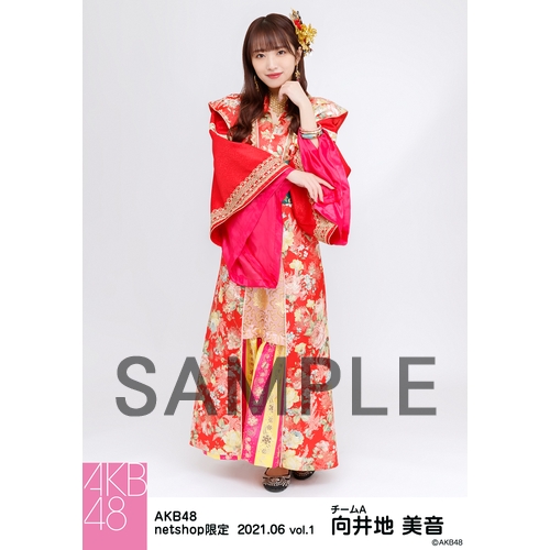 向井地美音　AKB48 生写真　成人式コンサート　ランダム　3枚コンプ 2025年最新】Yahoo!オークション -向井地美音 生写真 コンプの