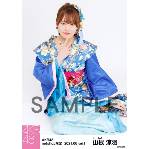 予約商品】AKB48 2021年6月度 net shop限定個別生写真5枚セット
