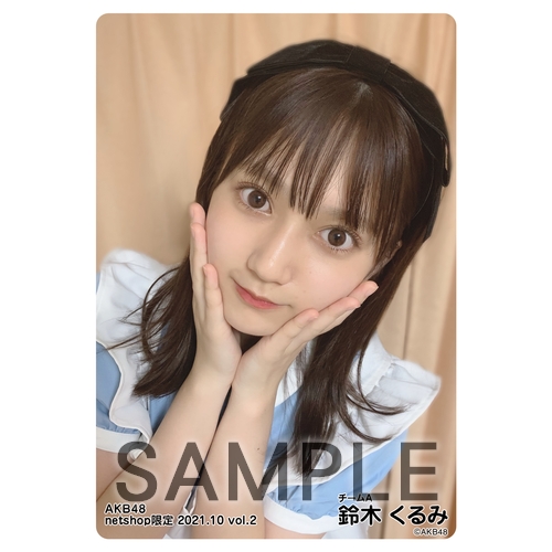 AKB48 生写真 セット 約300枚 AK-003-2409-86076_p01_500.jpg