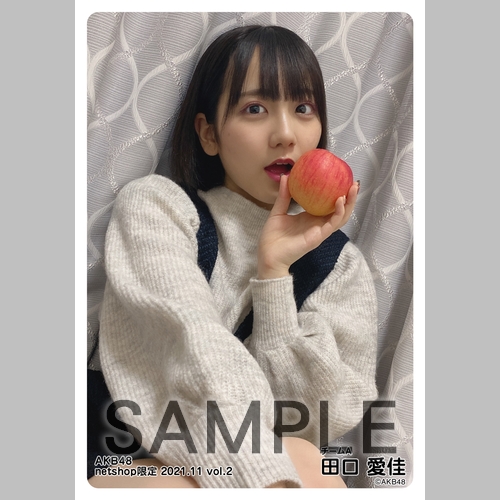 予約商品】AKB48 2021年11月度 net shop限定個別生写真5枚セットvol.2