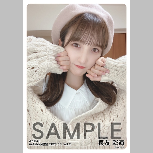 AKB48 2021年11月度 net shop限定個別生写真5枚セットvol.2 | AKB48