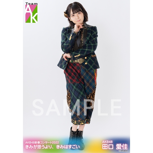 予約商品】AKB48新春コンサート2022 きみが思うより、きみはすごい