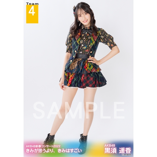 予約商品】AKB48新春コンサート2022 きみが思うより、きみは