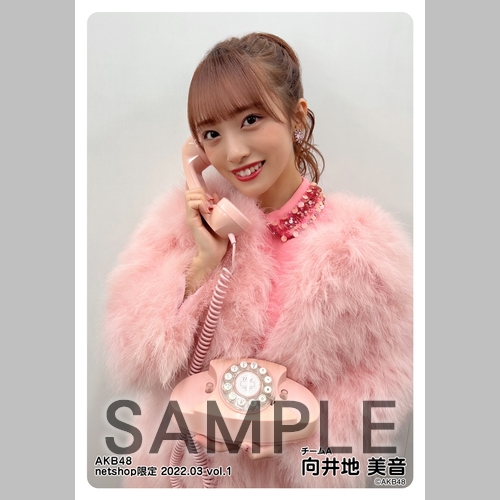 予約商品】AKB48 2022年3月度 net shop限定個別生写真5枚セットvol.1