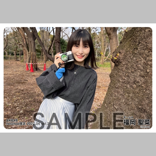 予約商品】AKB48 2022年4月度 net shop限定個別生写真5枚セットvol.2