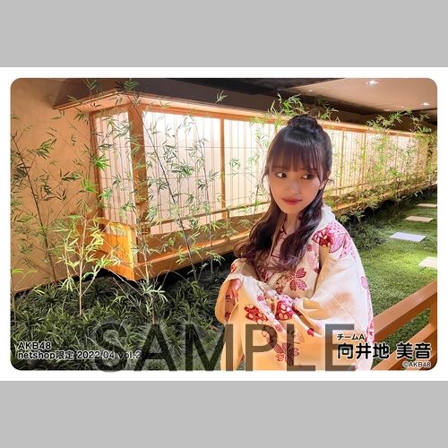 予約商品】AKB48 2022年4月度 net shop限定個別生写真5枚セットvol.2
