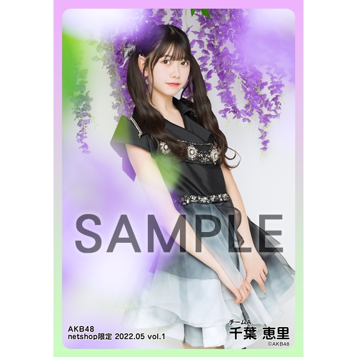 【ジャンク・要確認】AKB48 他 生写真 2500枚以上 ばら売り不可 予約商品】AKB48 2023年8月度 net shop限定個別生写真5枚セット