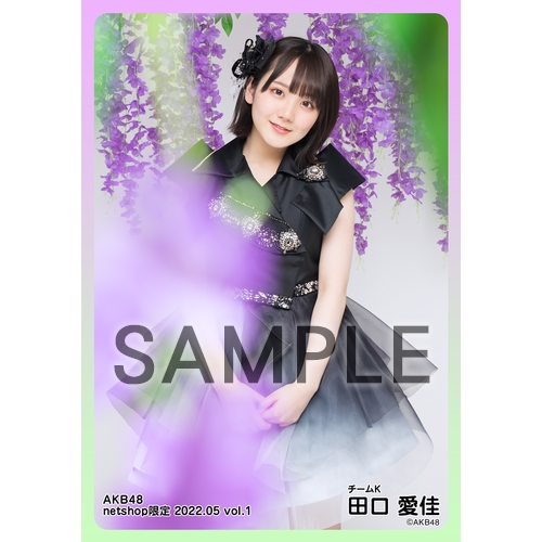 田口愛佳 AKB48 2025年4月 netshop限定 生写真 5種フルコンプ 田口愛佳 AKB48 2025年4月 netshop限定 生写真+カード 5種コンプ