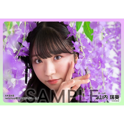 予約商品】AKB48 2022年5月度 net shop限定個別生写真5枚セットvol.1