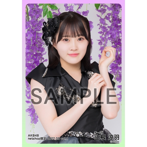 予約商品】AKB48 2022年5月度 net shop限定個別生写真5枚セットvol.1