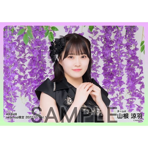 予約商品】AKB48 2022年5月度 net shop限定個別生写真5枚セットvol.1