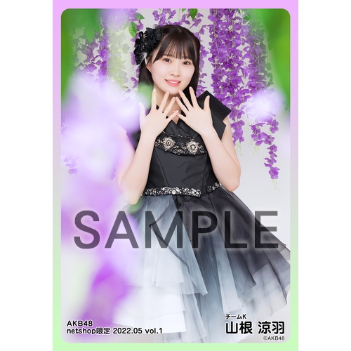予約商品】AKB48 2022年5月度 net shop限定個別生写真5枚セットvol.1