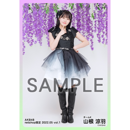 予約商品】AKB48 2022年5月度 net shop限定個別生写真5枚セットvol.1
