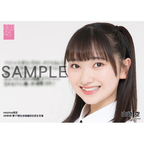 AKB48 ジャケ写キーホルダー 17個セット AKB48 ジャケ写キーホルダー 17個セット CD関連グッズ | AKB48