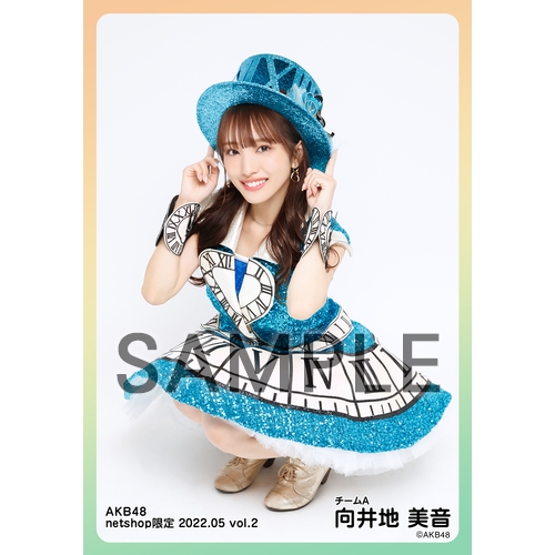 向井地美音AKB48 直筆サイン入りアクリルカードホルダー