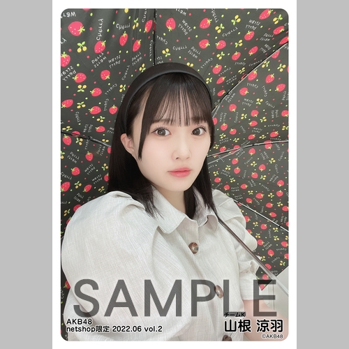 予約商品】AKB48 2022年6月度 net shop限定個別生写真5枚セットvol.2