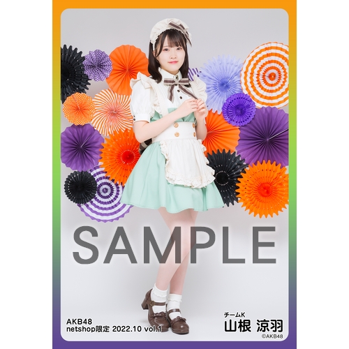 予約商品】AKB48 2022年10月度 net shop限定個別生写真5枚セットvol.1