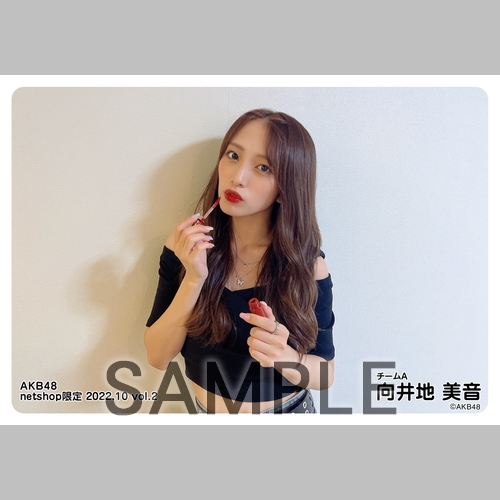 予約商品】AKB48 2022年10月度 net shop限定個別生写真5枚セットvol.2
