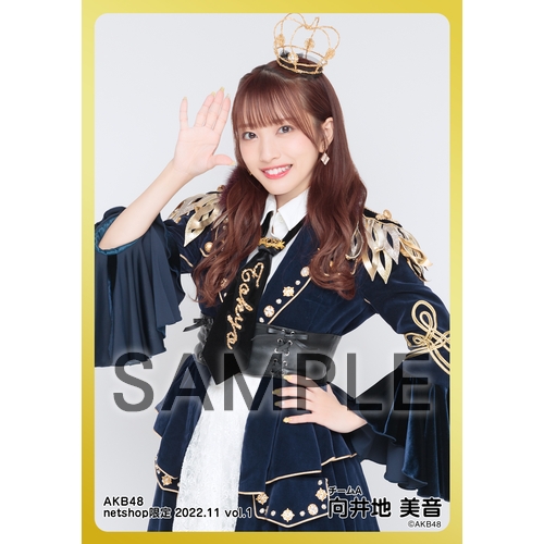 予約商品】AKB48 2022年11月度 net shop限定個別生写真5枚セット
