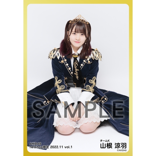 予約商品】AKB48 2022年11月度 net shop限定個別生写真5枚セット