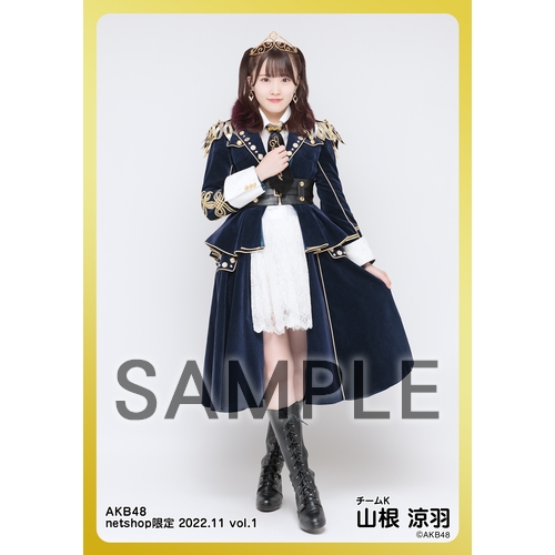 予約商品】AKB48 2022年11月度 net shop限定個別生写真5枚セット