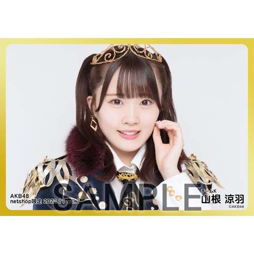 予約商品】AKB48 2022年11月度 net shop限定個別生写真5枚セットvol.1