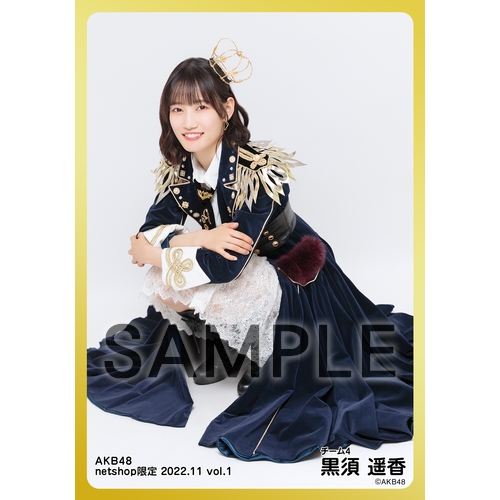 予約商品】AKB48 2022年11月度 net shop限定個別生写真5枚セット