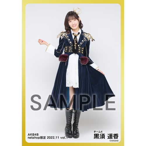 AKB48付録32点セット 予約商品】AKB48 2023年11月度 net shop限定個別生写真5枚セット