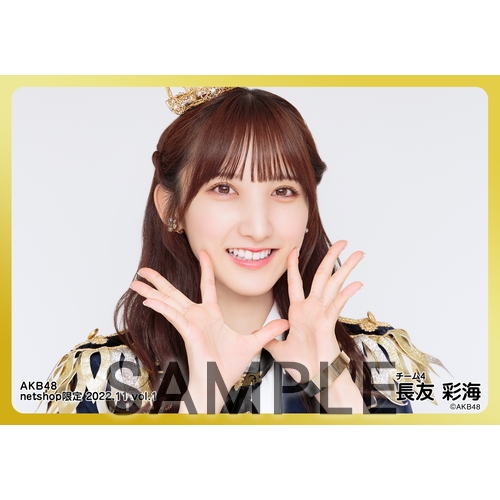予約商品】AKB48 2022年11月度 net shop限定個別生写真5枚セットvol.1