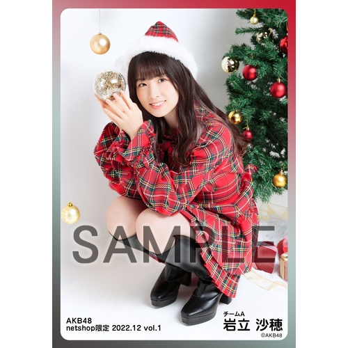 予約商品】AKB48 2022年12月度 net shop限定個別生写真5枚セットvol.1
