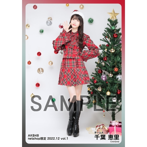 AKB48 千葉恵里 グッズ まとめ売り 予約商品】AKB48 2023年2月度 net shop限定個別生写真5枚セット