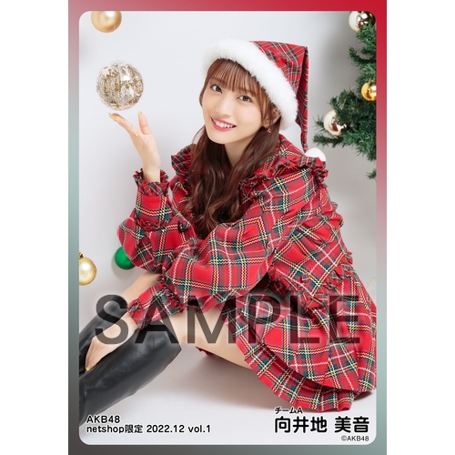 予約商品】AKB48 2022年11月度 net shop限定個別生写真5枚セット