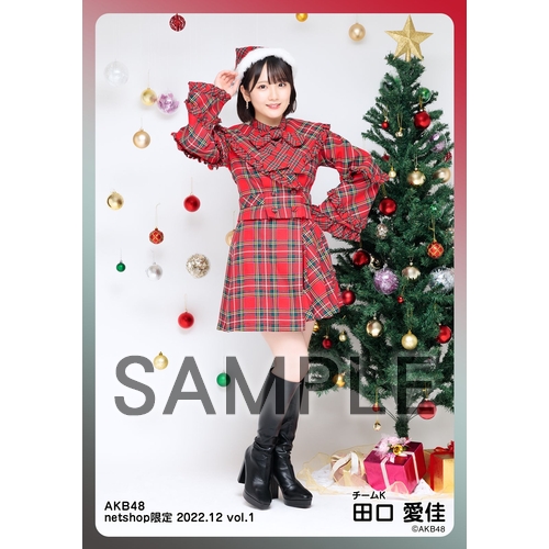 予約商品】AKB48 2022年12月度 net shop限定個別生写真5枚セットvol.1